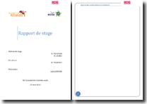 Rapport D Inventaire Physique Des Immobilisations