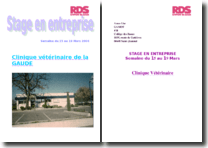 rapport de stage dans une clinique veterinaire